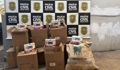Polícia Civil recupera cargas saqueadas na BR-381 e prende suspeitos